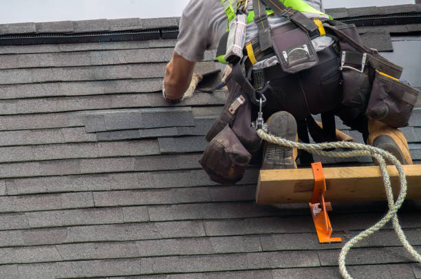 Best Storm Damage Roof Repair  in Wilson, NC