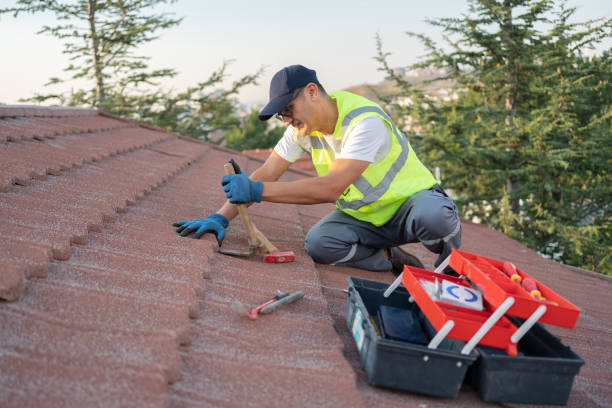 Best Roof Leak Repair  in Wilson, NC