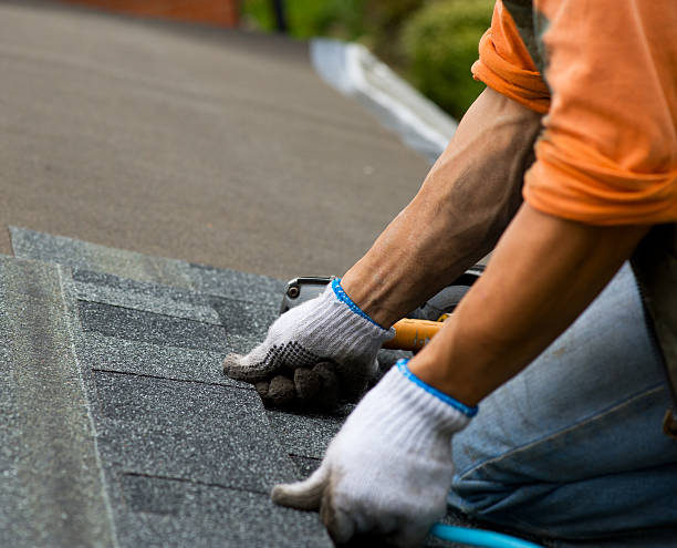 Best Shingle Roofing Installation  in Wilson, NC